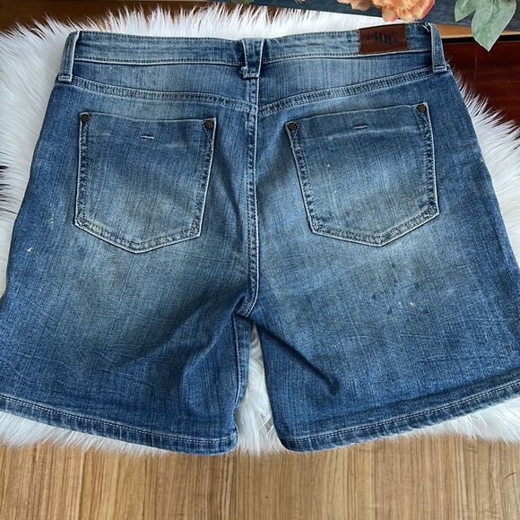 Anthropologie Holding Horses Painted Gable Boyfriend Shorts - Picture 9 of 13